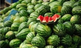 二饼康县网红吃瓜,揭秘当地美食背后的故事