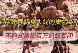 食人蚁军团在线观看,在线惊悚探险之旅